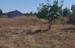 Teren 2.000 mp | Deschidere 22 m | 2 intrări | Slatina