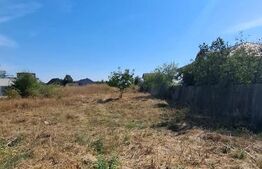 Teren 2.000 mp | Deschidere 22 m | 2 intrări | Slatina