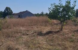 Teren 2.000 mp | Deschidere 22 m | 2 intrări | Slatina