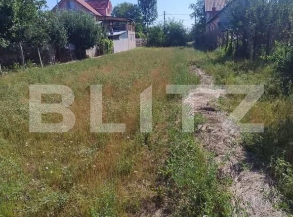 Teren de vânzare Salcia - 206409TV | BLITZ Slatina | Poza2