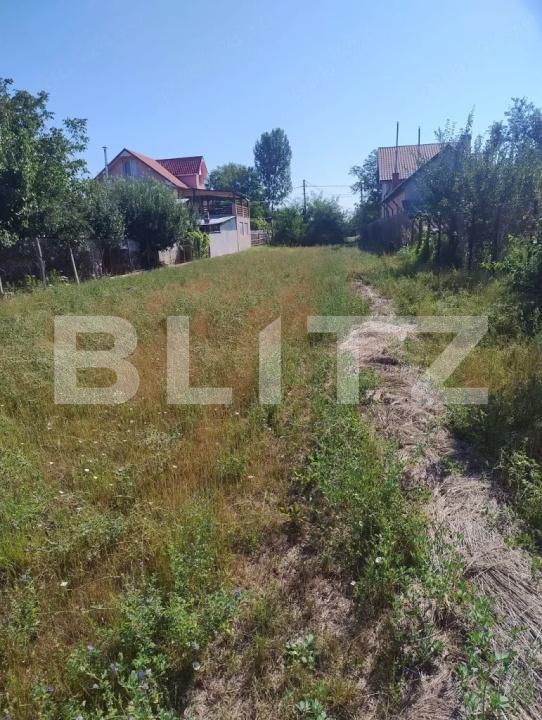 Teren de vânzare Salcia - 206409TV | BLITZ Slatina | Poza2