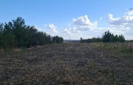 Casă locuibilă cu teren 2.809 mp și anexe, la doar 20 minute de oraș