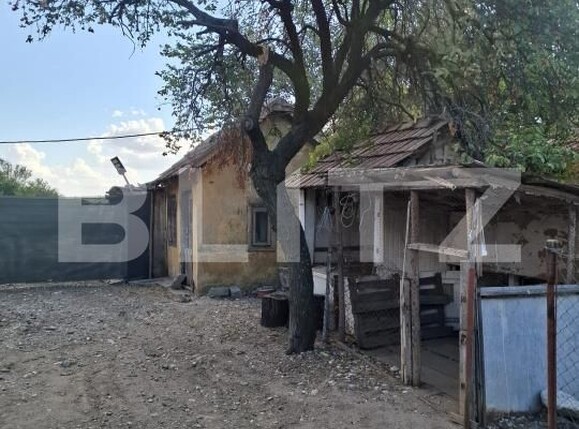 Casa de vânzare 5 camere Coteana - 206549CV | BLITZ Slatina | Poza11
