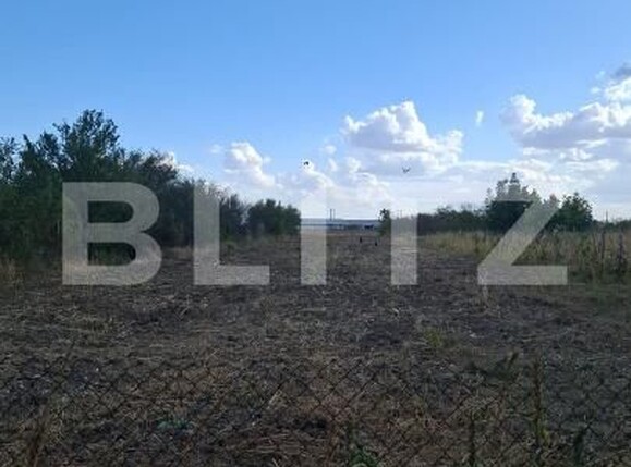 Casa de vânzare 5 camere Coteana - 206549CV | BLITZ Slatina | Poza5