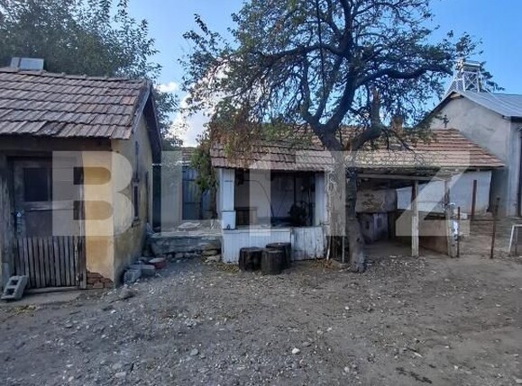 Casa de vânzare 5 camere Coteana - 206549CV | BLITZ Slatina | Poza3