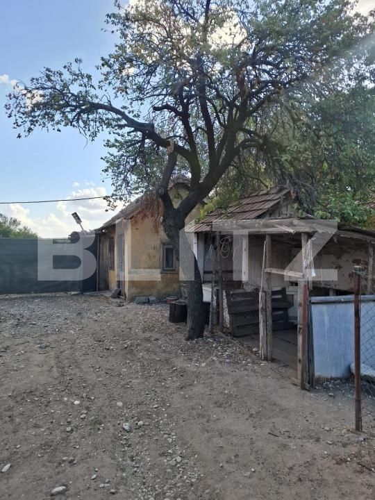 Casa de vânzare 5 camere Coteana - 206549CV | BLITZ Slatina | Poza11
