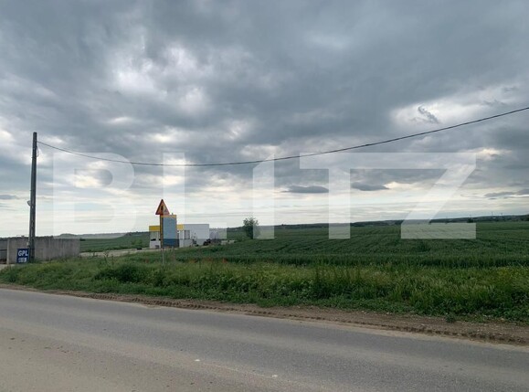 Teren de vânzare Slatioara - 206600TV | BLITZ Slatina | Poza1