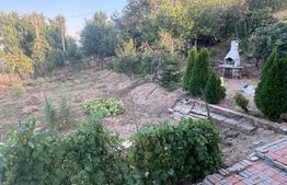 CASA INDIVIDUALA CU TEREN GENEROS DE 2000 MP-BALDOVINESTI OLT