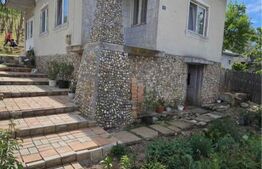 CASA INDIVIDUALA CU TEREN GENEROS DE 2000 MP-BALDOVINESTI OLT