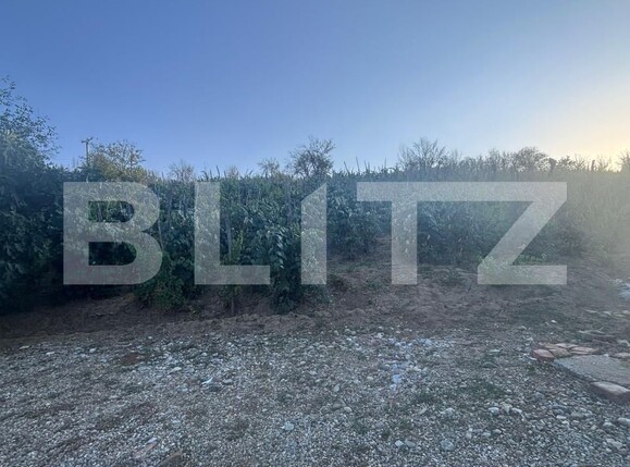 Casa de vânzare 2 camere Exterior Nord - 207452CV | BLITZ Slatina | Poza5