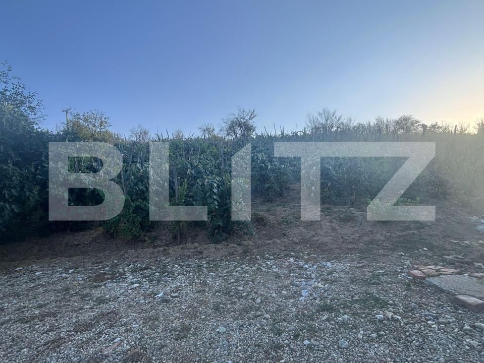 Casa de vânzare 2 camere Exterior Nord - 207452CV | BLITZ Slatina | Poza5