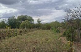 Casă renovată, 3 camere, teren 2.252 mp, anexe, acces din două străzi