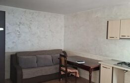 Casă renovată, 3 camere, teren 2.252 mp, anexe, acces din două străzi