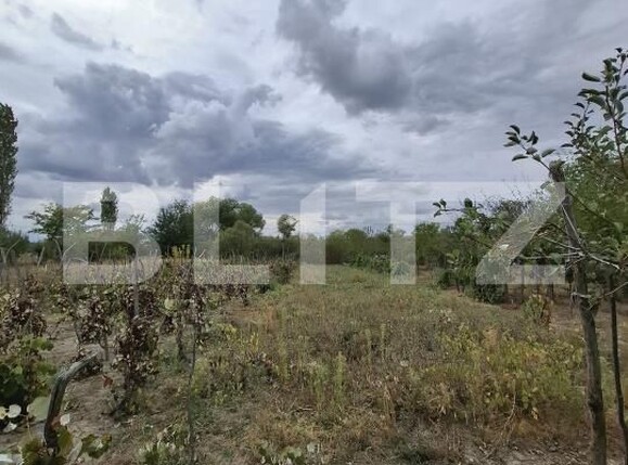 Casa de vânzare 3 camere Zorleasca - 208069CV | BLITZ Slatina | Poza18