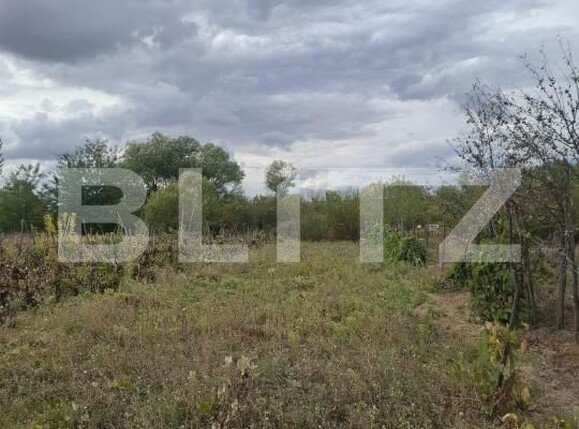 Casa de vânzare 3 camere Zorleasca - 208069CV | BLITZ Slatina | Poza13
