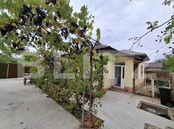 Casa de vânzare 3 camere Zorleasca - 208069CV | BLITZ Slatina | Poza1