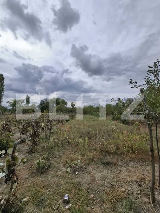 Casa de vânzare 3 camere Zorleasca - 208069CV | BLITZ Slatina | Poza18