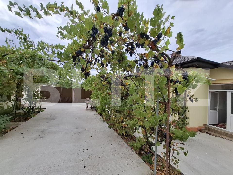 Casa de vânzare 3 camere Zorleasca - 208069CV | BLITZ Slatina | Poza17