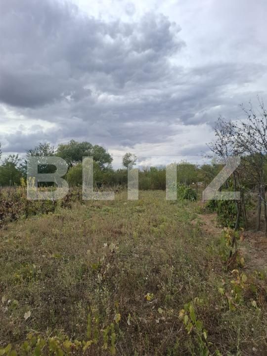Casa de vânzare 3 camere Zorleasca - 208069CV | BLITZ Slatina | Poza13