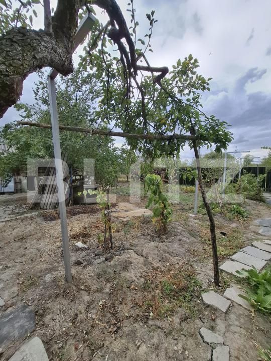 Casa de vânzare 3 camere Zorleasca - 208069CV | BLITZ Slatina | Poza16