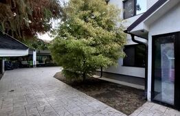 Vilă spațioasă, 342 mp, teren 657 mp, ideală rezidență sau business, Slatina