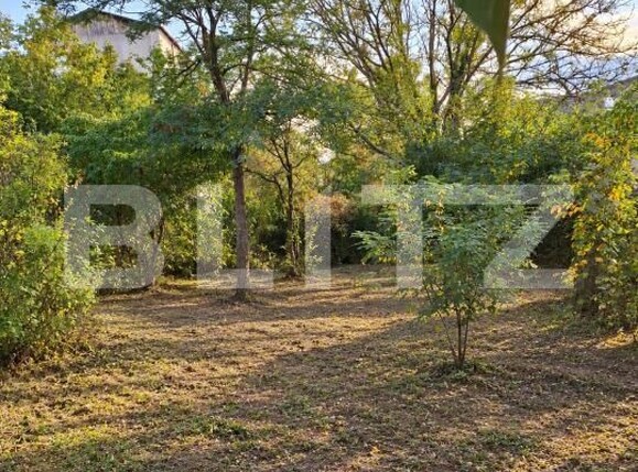 Teren de vânzare Central - 208673TV | BLITZ Slatina | Poza6