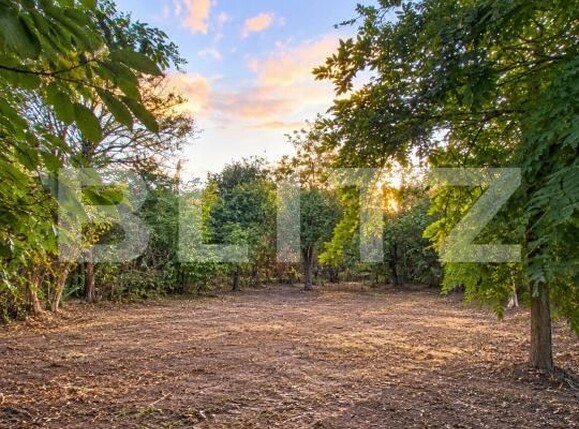 Teren de vânzare Central - 208673TV | BLITZ Slatina | Poza4