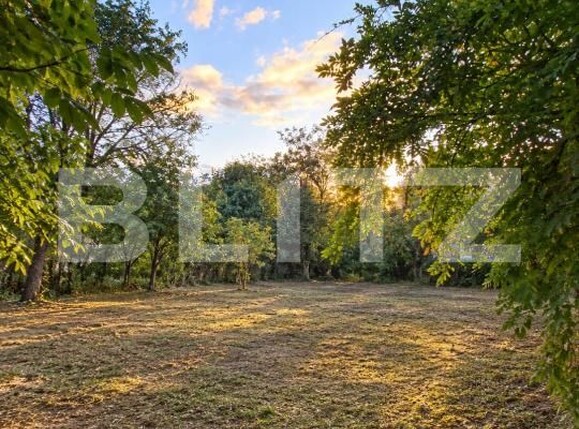 Teren de vânzare Central - 208673TV | BLITZ Slatina | Poza2