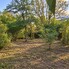Teren de vânzare Central - 208673TV - Poza 1 din 6 | BLITZ Slatina | Poza5