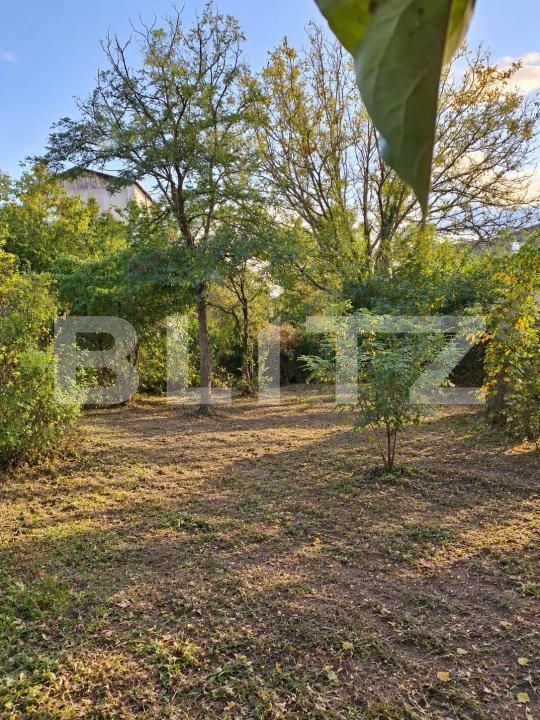 Teren de vânzare Central - 208673TV | BLITZ Slatina | Poza6