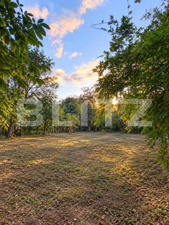 Teren de vânzare Central - 208673TV | BLITZ Slatina | Poza2