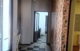 Spațiu comercial independent, 174 mp utili, curte 200 mp, acces auto, Slatina