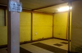 Spațiu comercial independent, 174 mp utili, curte 200 mp, acces auto, Slatina