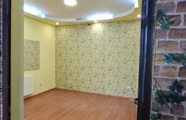 Spațiu comercial independent, 174 mp utili, curte 200 mp, acces auto, Slatina