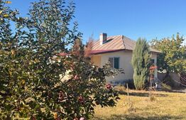 Casă de vânzare, 84 mp, zona Centrală - Dobrețu