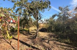 Casă de vânzare, 84 mp, zona Centrală - Dobrețu