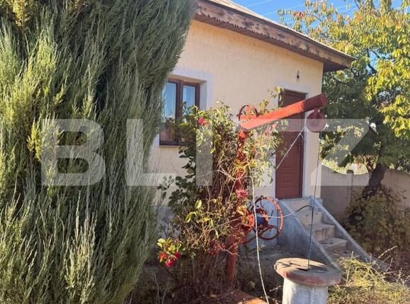 Casa de vânzare 3 camere Dobretu - 209122CV | BLITZ Slatina | Poza2