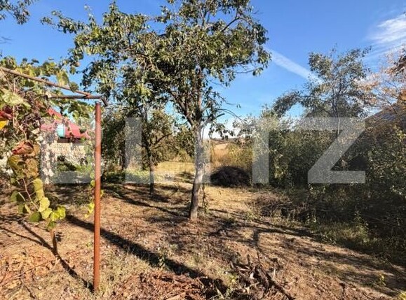 Casa de vânzare 3 camere Dobretu - 209122CV | BLITZ Slatina | Poza8