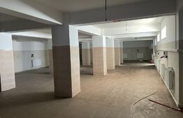 Ocazie! Spatiu comercial cu potential, 300 mp utili, zona Ramiro