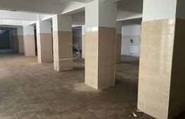 Ocazie! Spatiu comercial cu potential, 300 mp utili, zona Ramiro