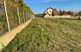 Teren intravilan, 1500 mp, Burdujeni