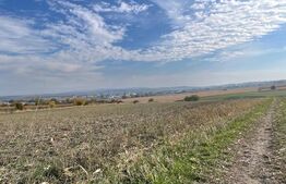 Oportunitate! Teren 4800 mp, deschidere 40 ml, in Ipotesti