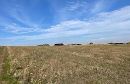 Oportunitate! Teren 4800 mp, deschidere 40 ml, in Ipotesti