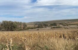 Ocazie pentru investitie!Teren de 667 mp şi front stradal de 22 ml, Moara Nica