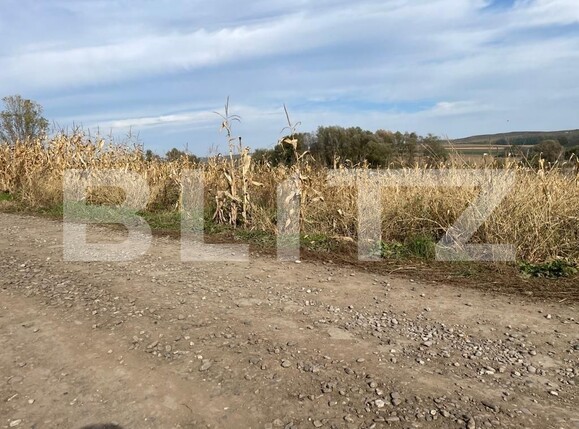 Teren de vânzare Sud Vest - 100316TV | BLITZ Suceava | Poza2