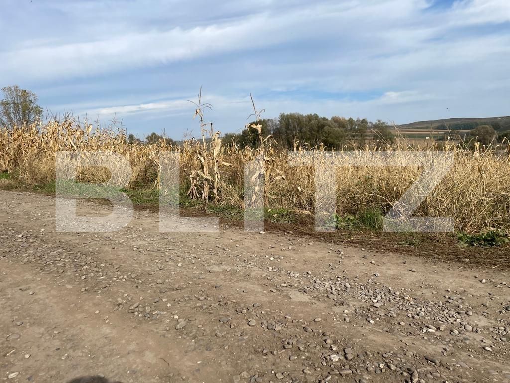 Teren de vânzare Sud Vest - 100316TV | BLITZ Suceava | Poza2