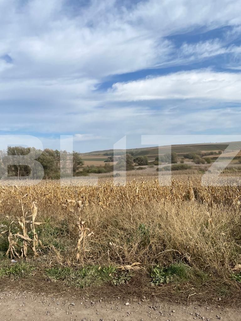 Teren de vânzare Sud Vest - 100316TV | BLITZ Suceava | Poza3