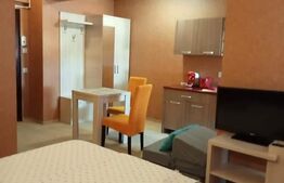 Garsoniera, 32 mp, zona Costinesti, Program 50/20