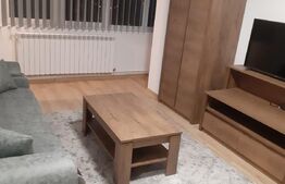 Apartament 2 camere, Modern/Lux, Renovat, zona Ultracentrala