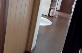 Apartament 3 camere, 60 mp, utilat și mobilat modern, zonă CENTRALĂ